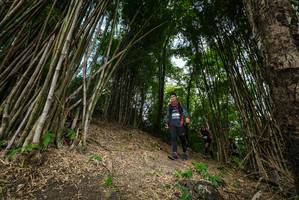 BIB: 
                            <button type="button" onclick="openModal(19395890)" class="btn btn-primary btn-sm float-right btn-popup" data-toggle="modal" data-target=".modal-high-quality">
                        <i class="fas fa-shopping-cart"></i> Add to Cart
                    </button>
                                            <button type="button" onclick="isThisMe(19395890, true)" class="btn btn-success btn-sm float-right btn-popup btn-isme hidden" data-toggle="tooltip" data-placement="bottom" title="นี่คือรูปของคุณใช่ไหม คลิกที่นี่เพื่อเอาเข้าอัลบั้ม">
                        <i class="fas fa-plus"></i> Add to album
                    </button>
                    <button type="button" onclick="isThisMe(19395890, false)" class="btn btn-warning btn-sm float-right btn-popup btn-isnotme hidden">
                        <i class="fas fa-ban"></i> Remove from album
                    </button>